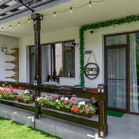 Ama Garden Apartment Buşteni Екстериор снимка